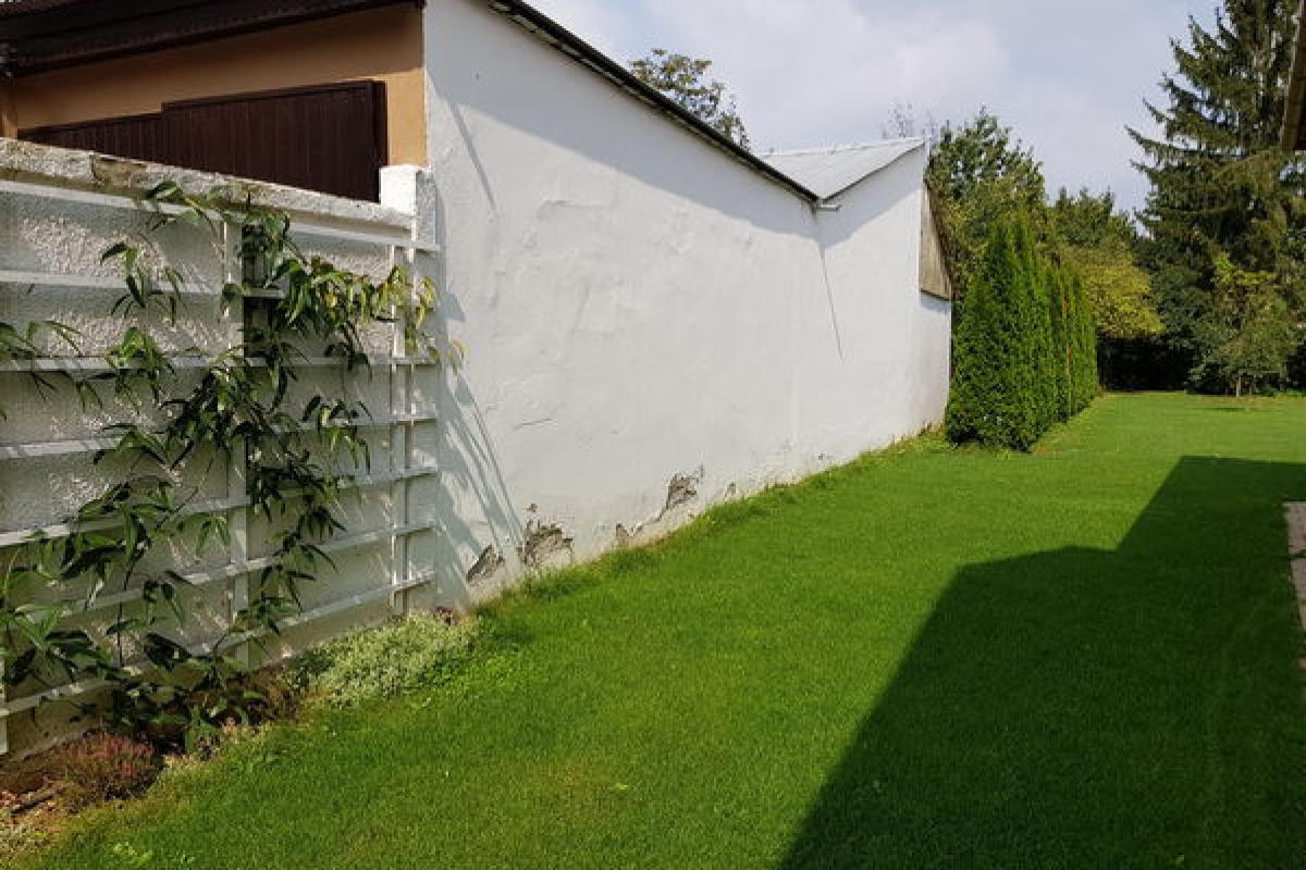 Előtte: Nagyanizsai oldalkert előtte.