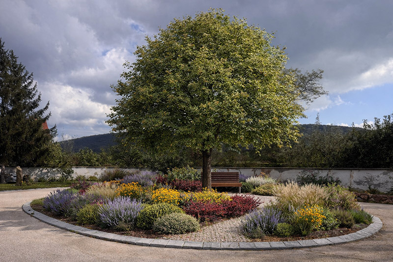 Kerttervezés AI-val - mire elég és mire nem